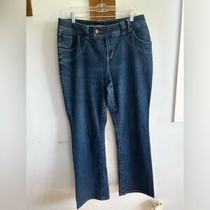 Lane Bryant jeans boot cut stretch urban fashion Country‎ western Nashville